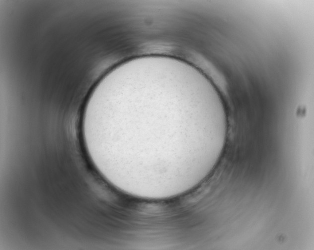 X0000103150107200809192039