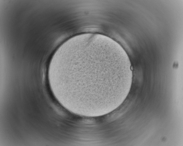 X0000103150110200809192039