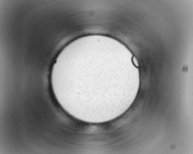 X0000103150111200809192039