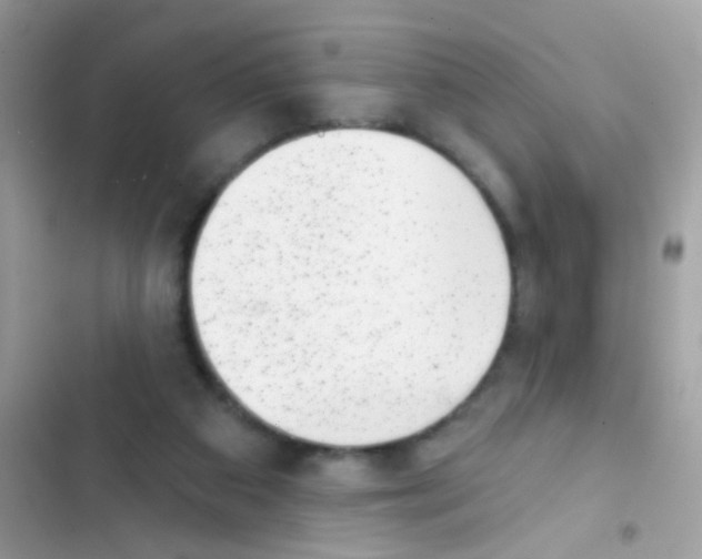 X0000103150113200809192039