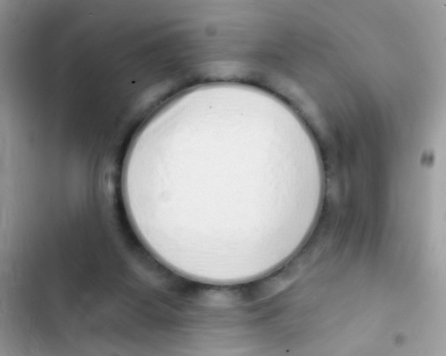 X0000103150115200809192039