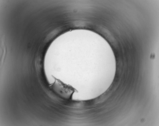 X0000103150116200809192039