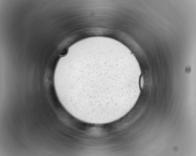 X0000103150119200809192039