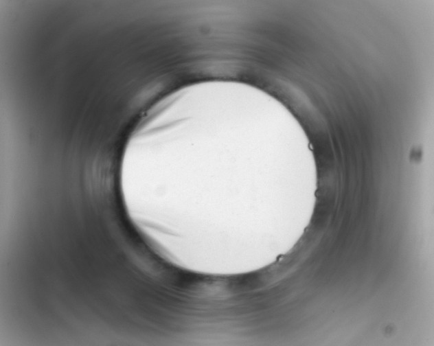 X0000103150120200809192039