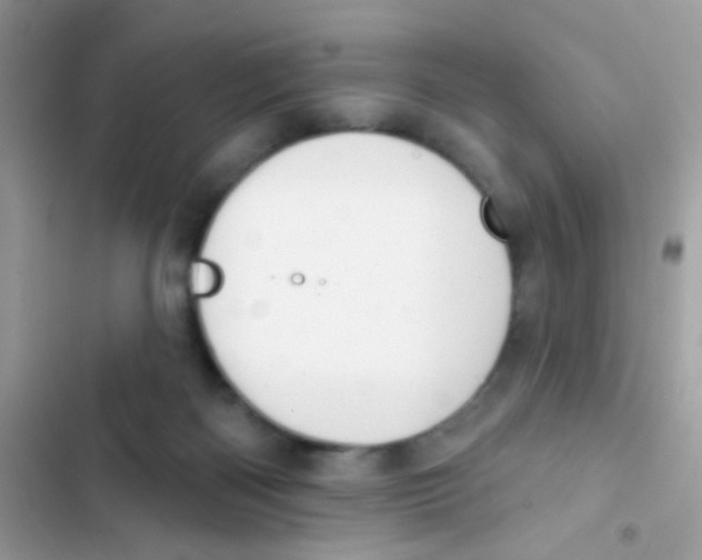 X0000103150122200809192038