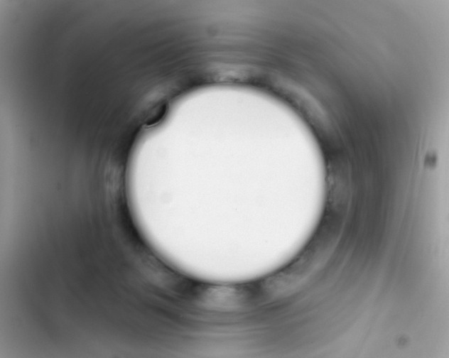 X0000103150123200809192038