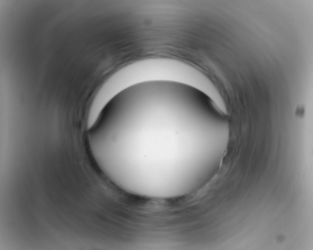 X0000103150124200809192038