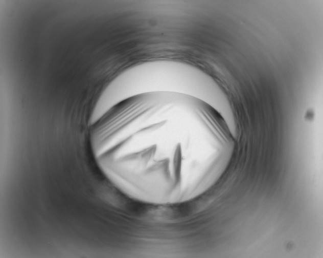 X0000103150125200809192038