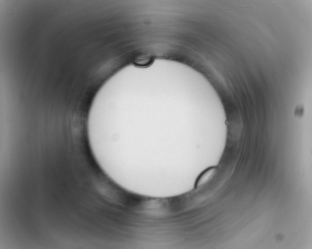 X0000103150126200809192038