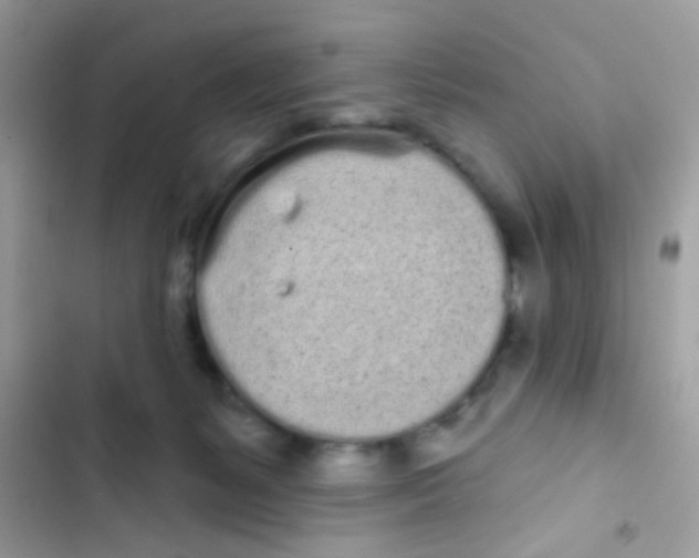 X0000103150127200809192038