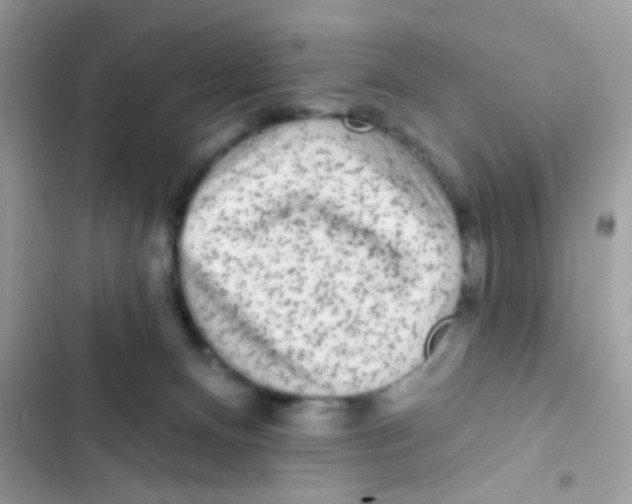 X0000103150128200809192038