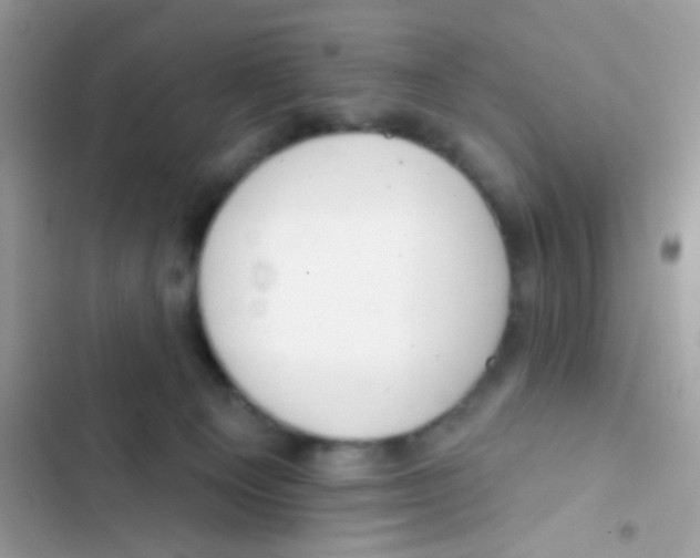 X0000103150129200809192038