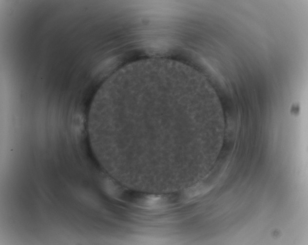 X0000103150130200809192038