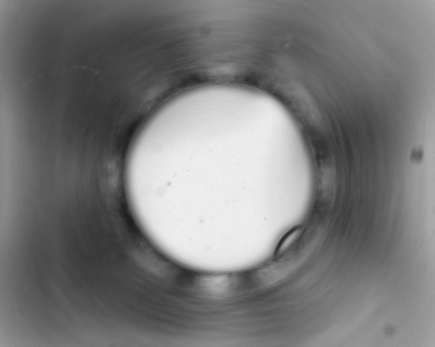 X0000103150131200809192038