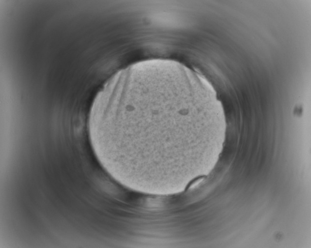 X0000103150134200809192038