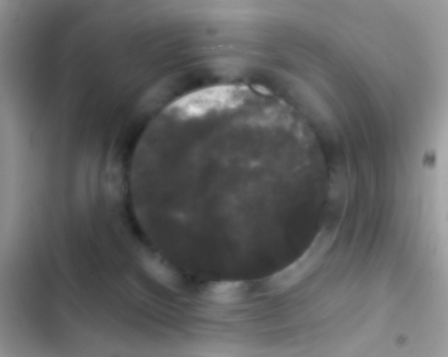 X0000103150136200809192038