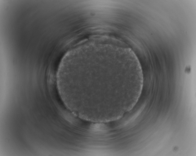 X0000103150137200809192038