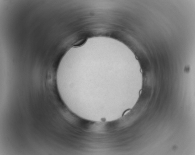 X0000103150138200809192038