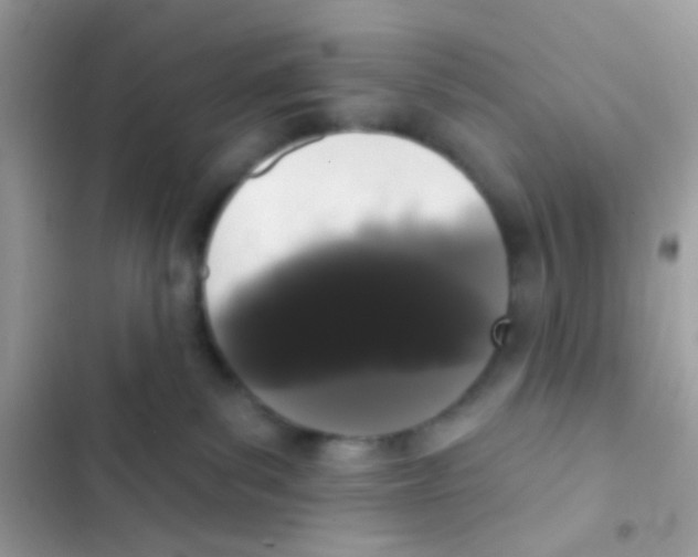 X0000103150139200809192038