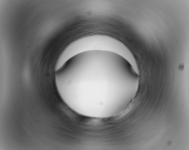 X0000103150140200809192038