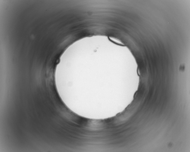 X0000103150141200809192038