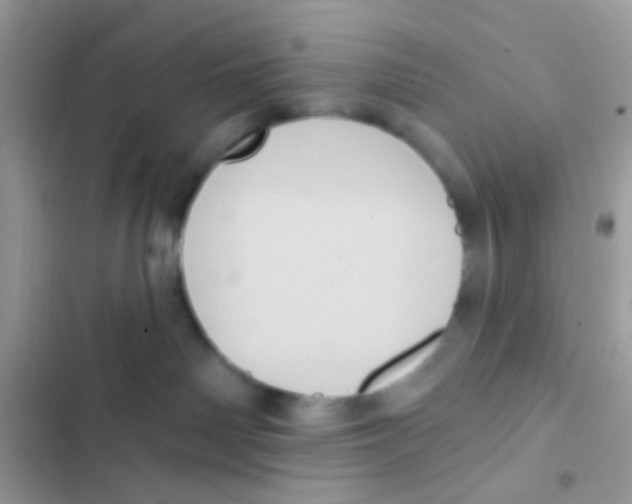 X0000103150142200809192038