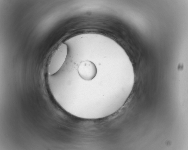 X0000103150146200809192037