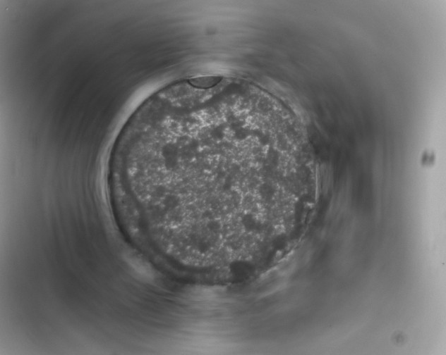 X0000103150147200809192037