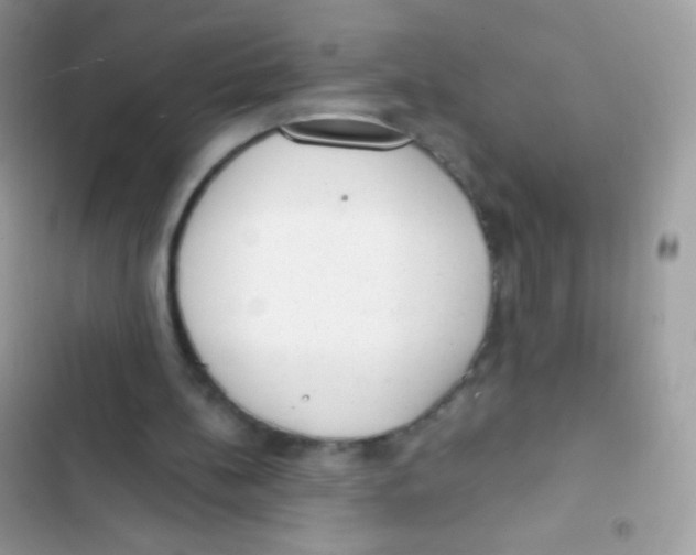 X0000103150148200809192037