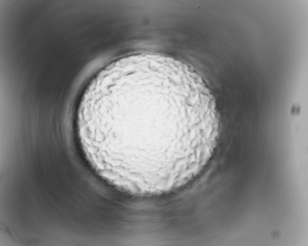 X0000103150149200809192037