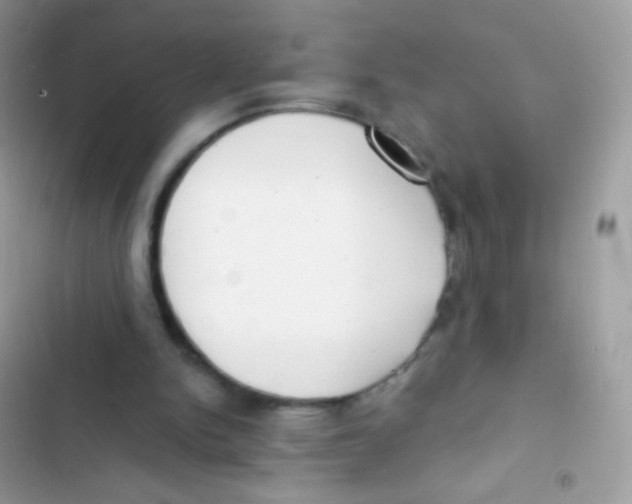 X0000103150150200809192037