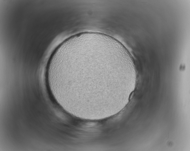 X0000103150151200809192037