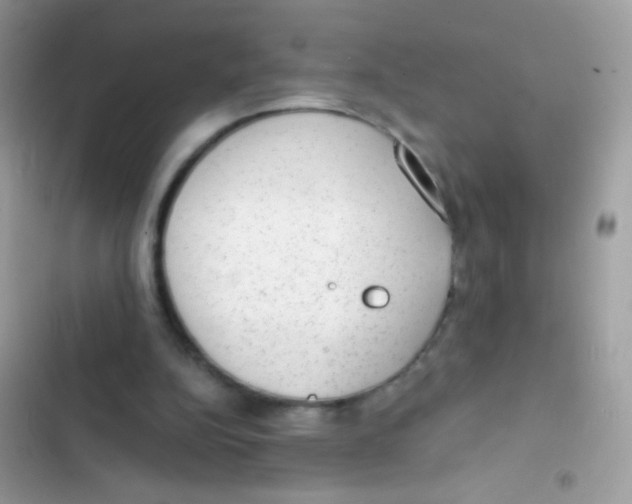 X0000103150152200809192037