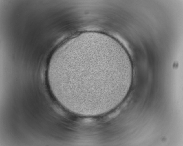 X0000103150153200809192037