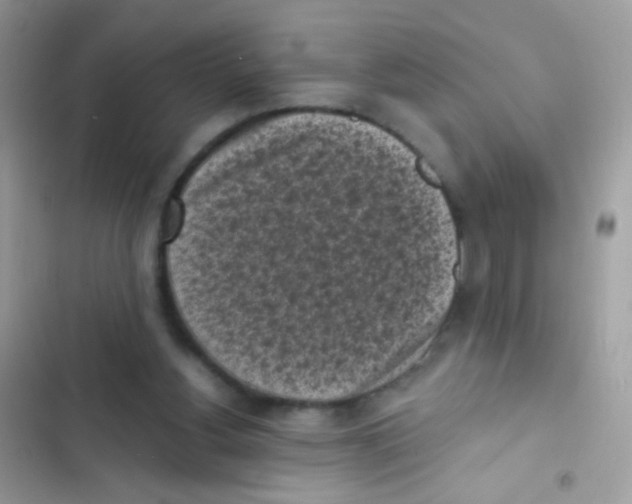 X0000103150156200809192038