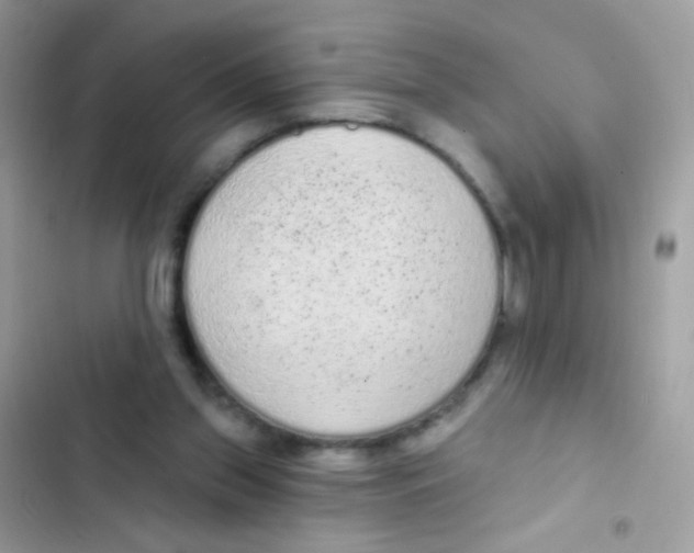 X0000103150157200809192038