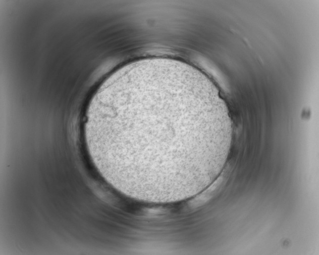 X0000103150158200809192038