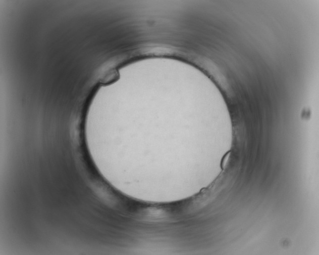 X0000103150159200809192038