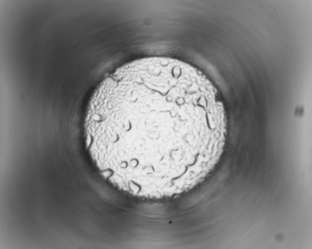 X0000103150161200809192038