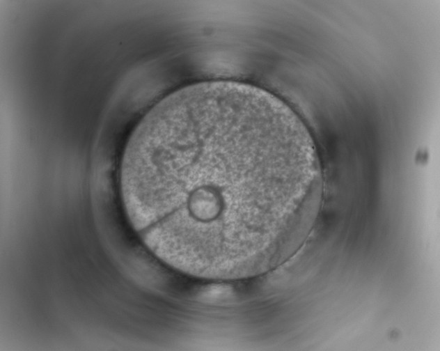 X0000103150162200809192038