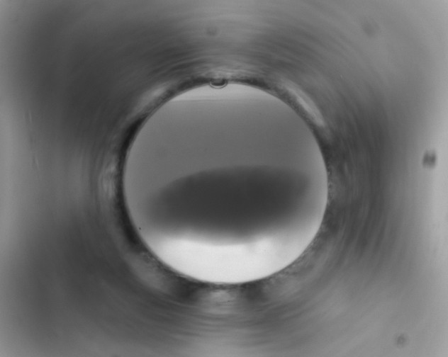 X0000103150163200809192038