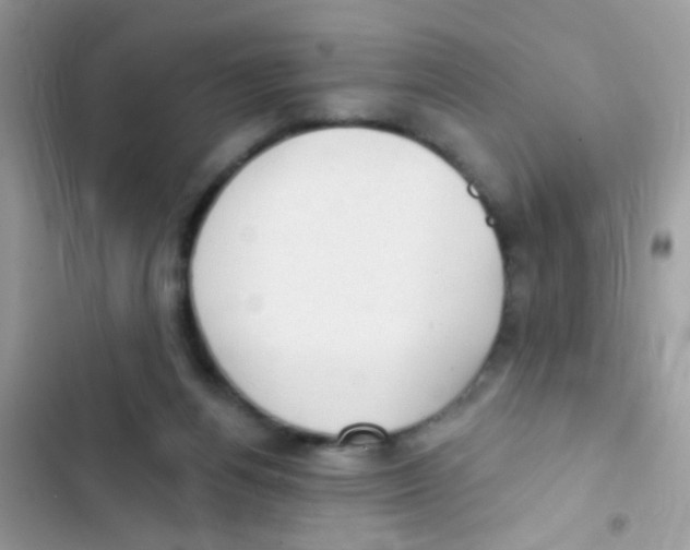 X0000103150164200809192038