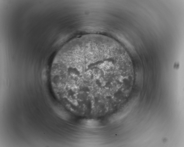 X0000103150165200809192038