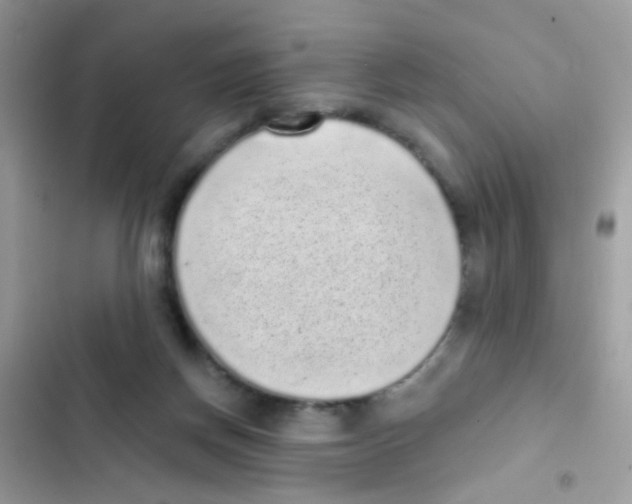 X0000103150166200809192038