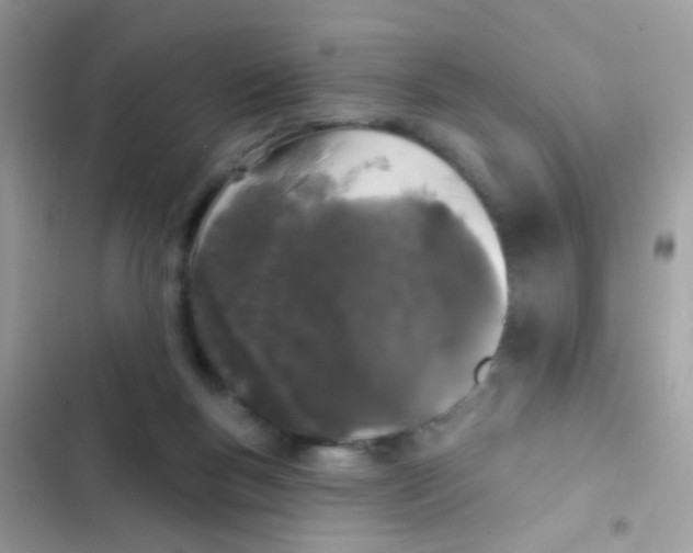 X0000103150167200809192038