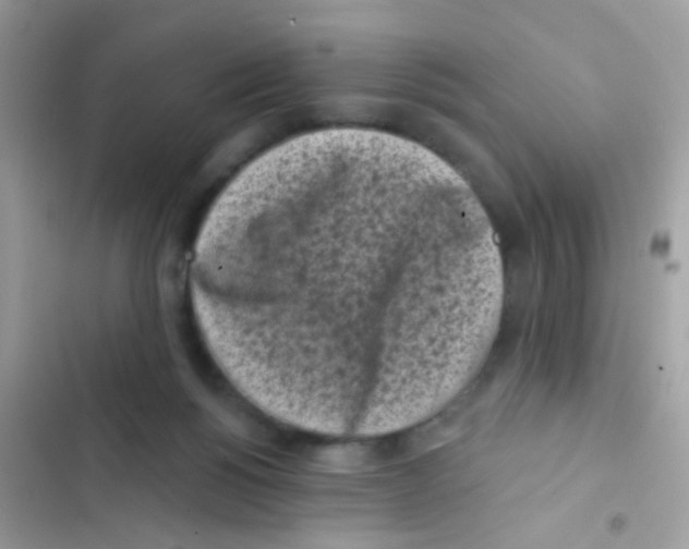 X0000103150168200809192038