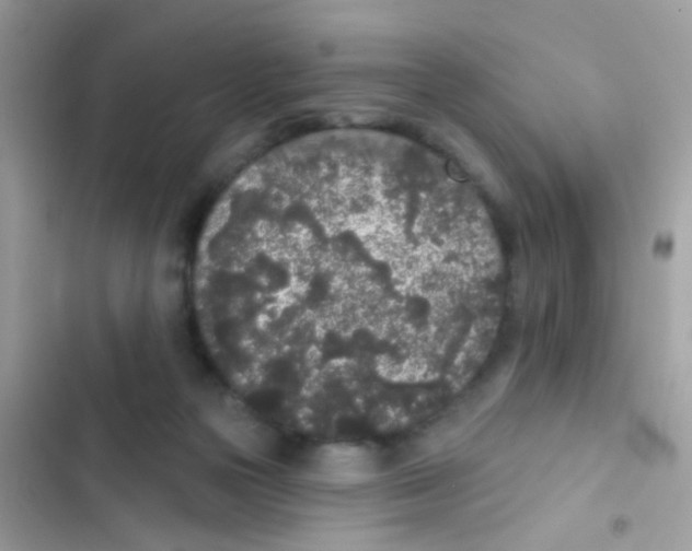 X0000103150169200809192038