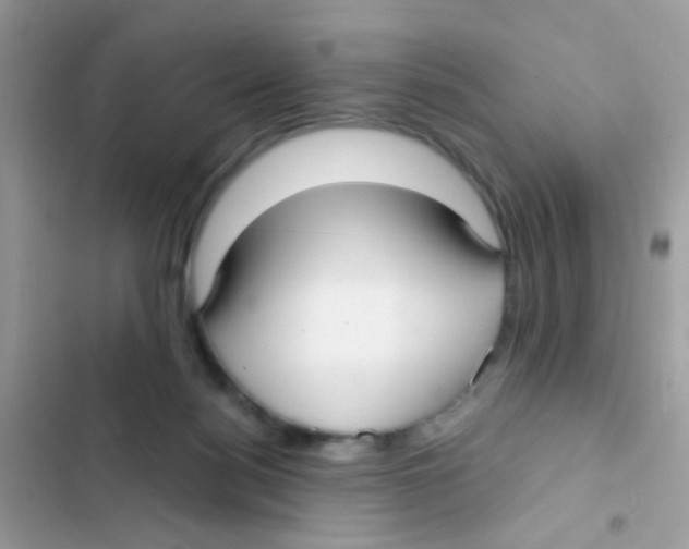 X0000103150172200809192038