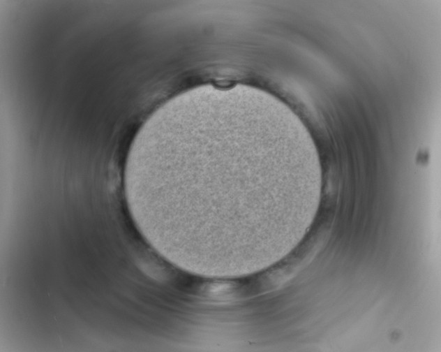 X0000103150173200809192038