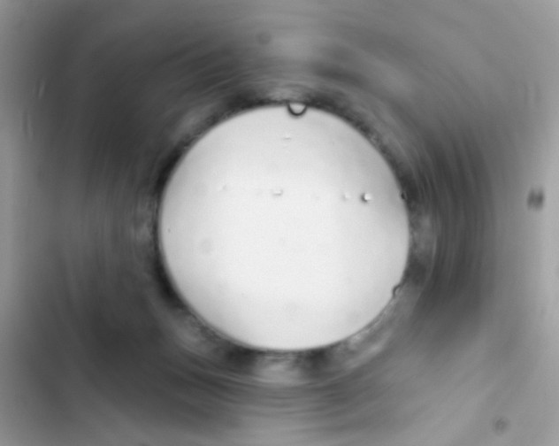 X0000103150175200809192038